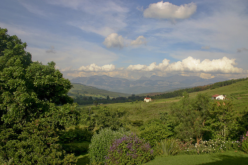 Chimanimani National Park